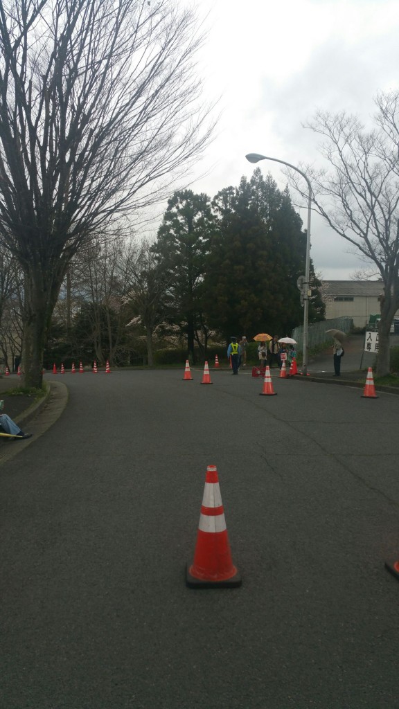 なばり桜まつり